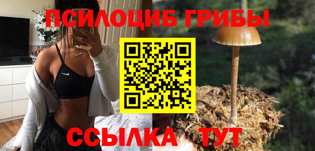 Псилоцибиновые грибы GOLDEN TEACHER Архангельск